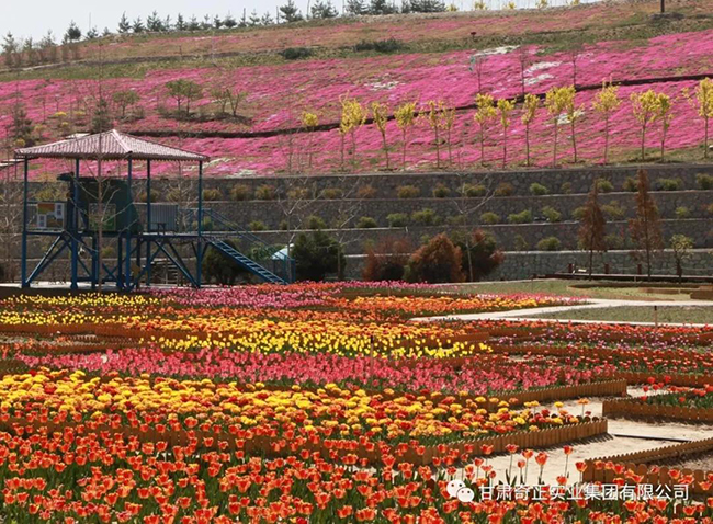 KS凯时·(中国区)官方网站