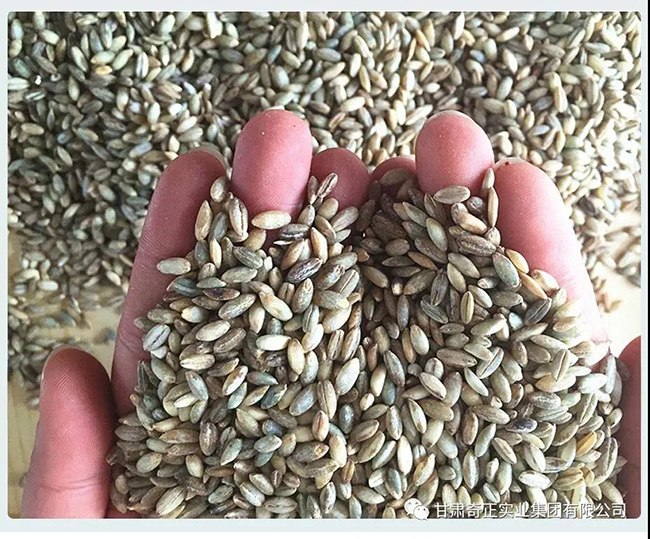 KS凯时·(中国区)官方网站