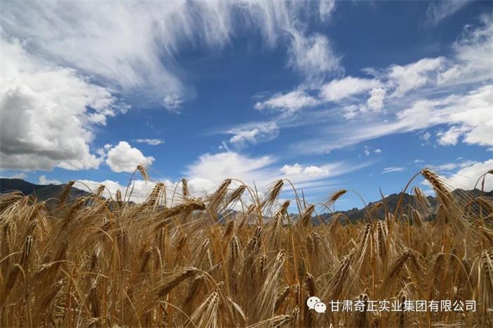 KS凯时·(中国区)官方网站