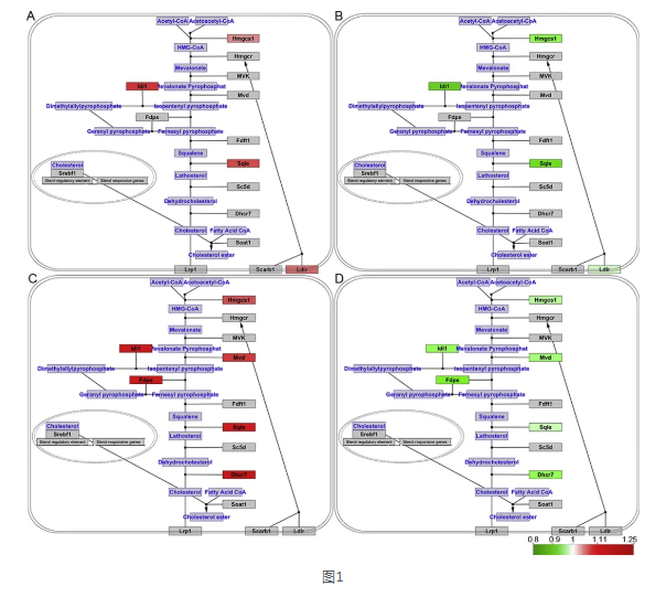 KS凯时·(中国区)官方网站