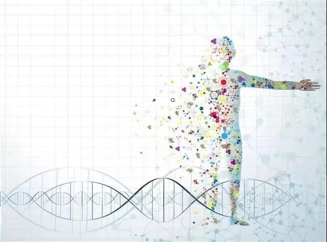 KS凯时·(中国区)官方网站