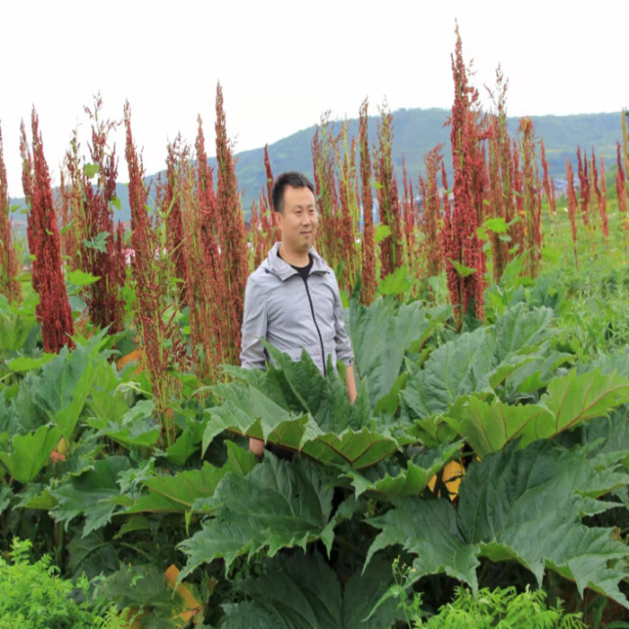 KS凯时·(中国区)官方网站