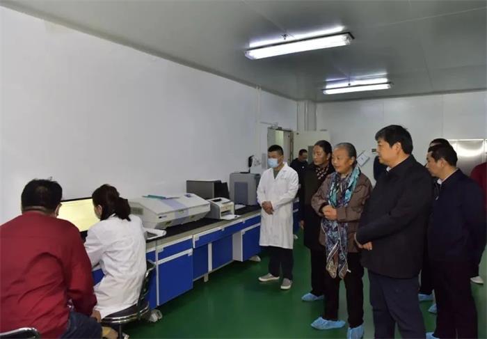 KS凯时·(中国区)官方网站