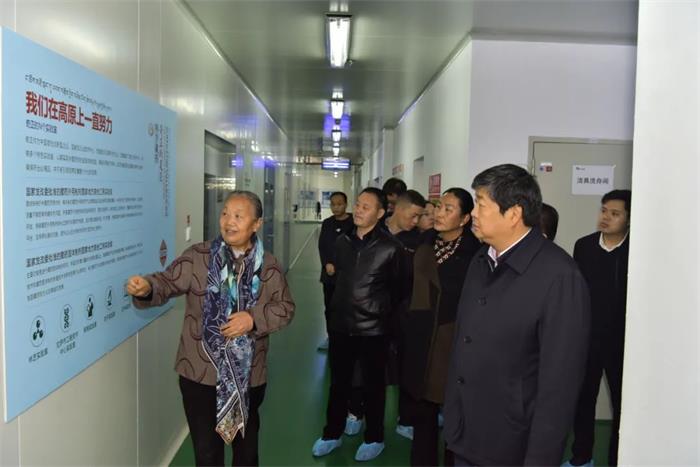 KS凯时·(中国区)官方网站