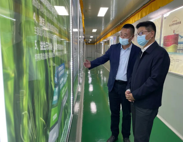 KS凯时·(中国区)官方网站