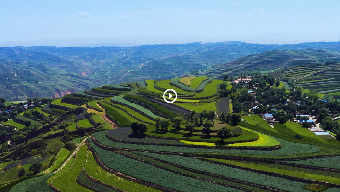 ks凯时官网中药宣传片