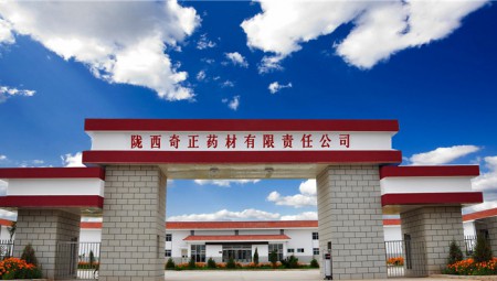 陇西ks凯时官网