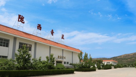 陇西ks凯时官网