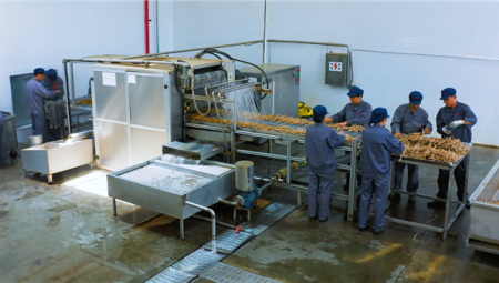 陇西ks凯时官网