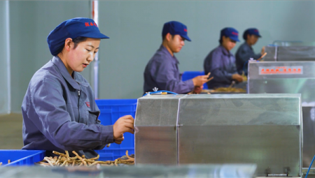 陇西ks凯时官网