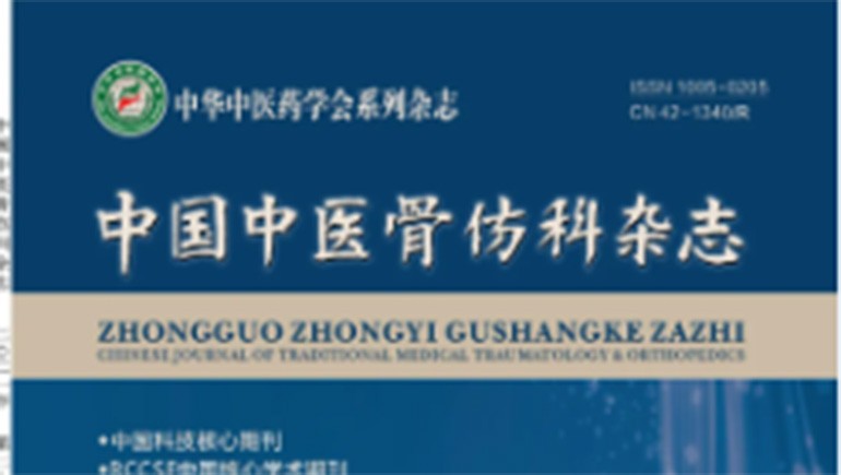 ks凯时官网白脉软膏时效性钻研见刊主题期刊《中国中医骨伤科杂志》