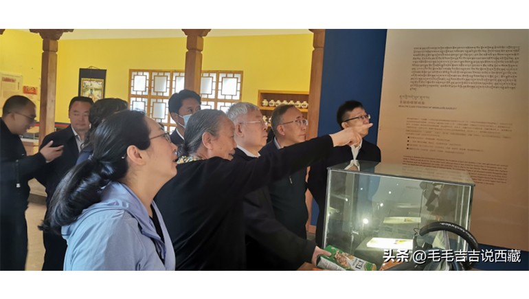 原国务院扶贫办主任刘永富一行光临ks凯时官网青稞调查调研