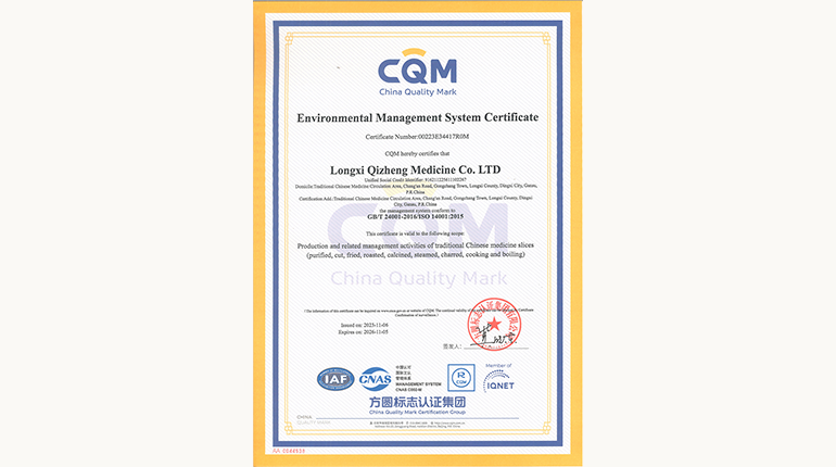 环境治理系统认证证书（英文）