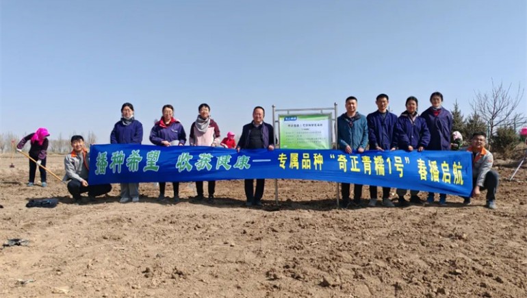 “ks凯时官网青糯1号”春播启航