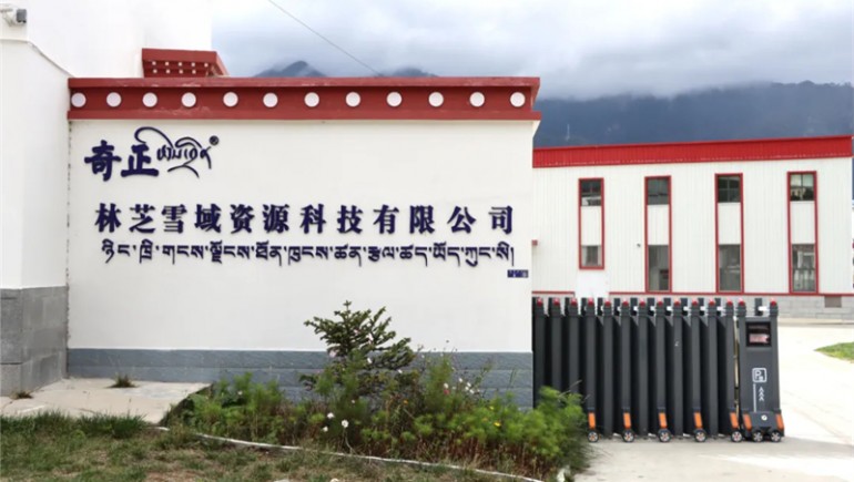 林芝雪域资源科技有限公司获批“科技型中幼企业”