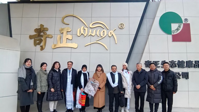 深掘藏医珍宝，，，，，，，共绘健全新篇——伊朗代表团光临ks凯时官网集团参访互换