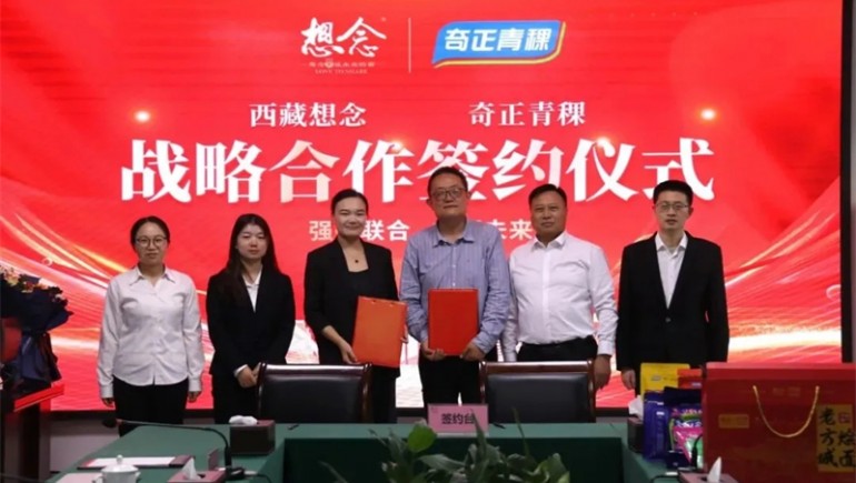 新质赋能，，，，，融誉前杏转—ks凯时官网集团2024年大事记