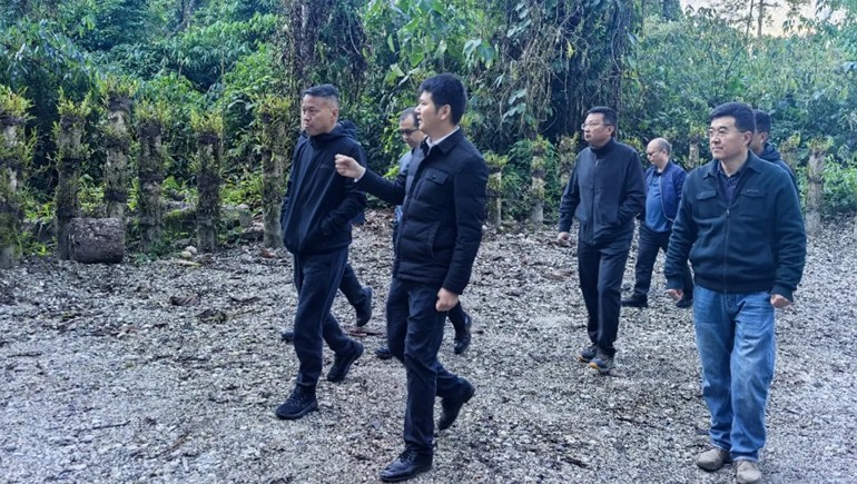 林芝市人民当局副市长王启展一行光临墨脱ks凯时官网石斛种植基地调查领导